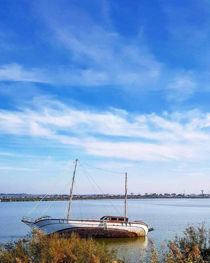 לה-גרו-דו-רואה Studio 237 Port Camargue, Piscine, Climatisation, 2 Personnes מראה חיצוני תמונה